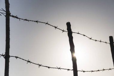 Çivili metal bir çitin arka ışığı.