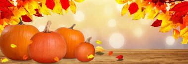 Cadılar Bayramı balkabağı kafa. Cadılar Bayramı dekorasyonu ve arkaplanı.