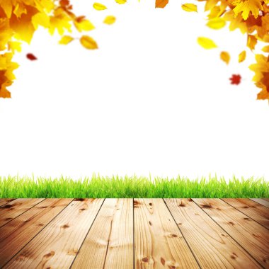 Sarı ve kırmızı yapraklı güzel sonbahar arkaplanı.