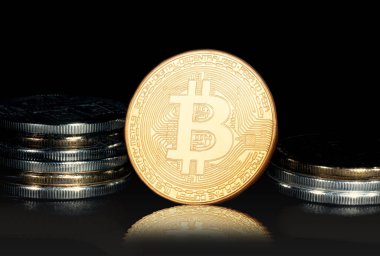 Kripto para birimi konsepti. Bitcoin döviz kurlarındaki eğilimler. Bitcoin 'in yükselişi ve düşüşü.