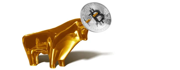 Conceito Criptomoeda Tendências Nas Taxas Câmbio Bitcoin Ascensão Queda Bitcoin — Fotografia de Stock