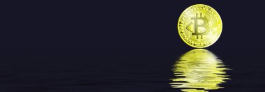 Kripto para birimi konsepti. Bitcoin döviz kurlarındaki eğilimler. Bitcoin 'in yükselişi ve düşüşü.