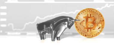 Kripto para birimi konsepti. Bitcoin döviz kurlarındaki eğilimler. Bitcoin 'in yükselişi ve düşüşü.