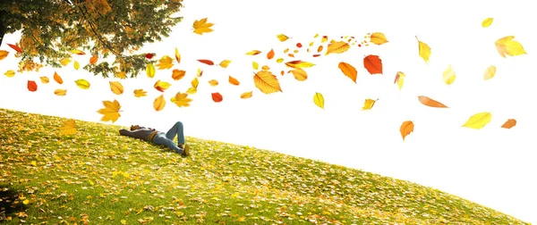 Mooie Herfst Achtergrond Met Gele Rode Bladeren — Stockfoto