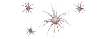 Coronavirüs ve karantina kavramını durdurun. 3 boyutlu tıbbi illüstrasyon