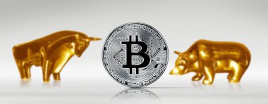 Kripto para birimi konsepti. Bitcoin döviz kurlarındaki eğilimler. Bitcoin 'in yükselişi ve düşüşü.