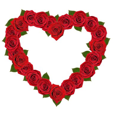 Botanik bahçesinden doğal bir gül