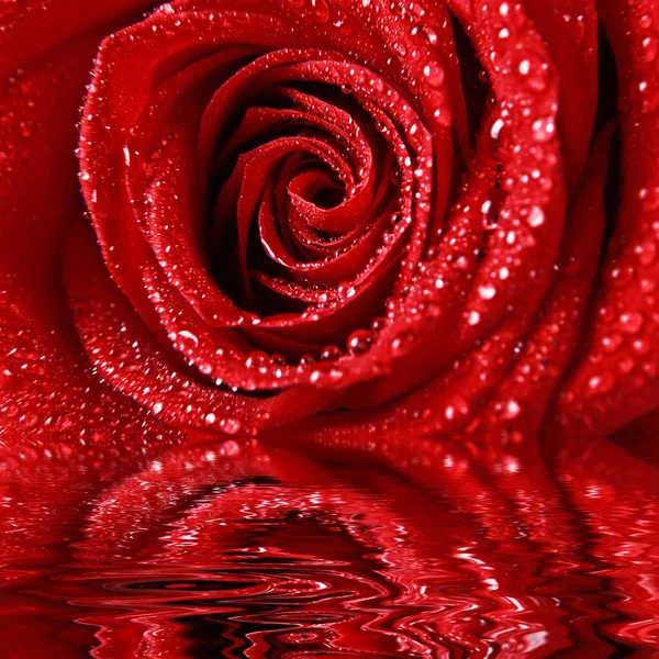 День Святого Валентина Фон Love Valentine Day Concept — стоковое фото