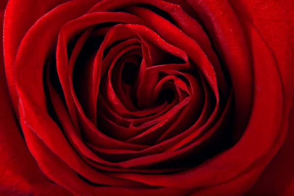 День Святого Валентина Концепція Любові Валентина — стокове фото