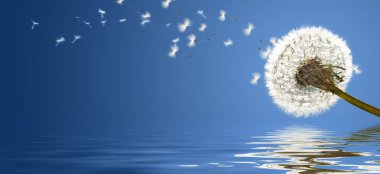 Karahindiba ile güzel rüya gibi bahar doğası arka planı