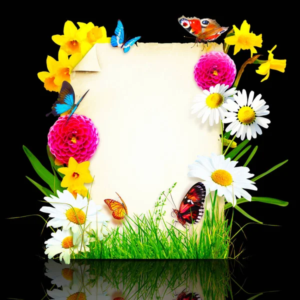 花和蝴蝶的创意布局 春季极小概念 — 图库照片