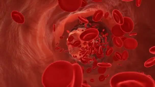 Sel Darah Merah Mengalir Dalam Arteri Video — Stok Video