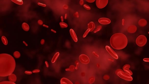 Glóbulos Rojos Que Fluyen Una Arteria Video — Vídeos de Stock