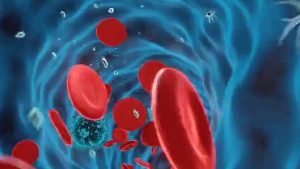 Des Globules Rouges Qui Coulent Avec Des Virus Dans Une — Video