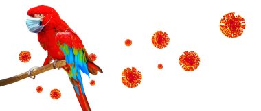 Corona virüsü salgını. Salgın zaman konseptinde seyahat