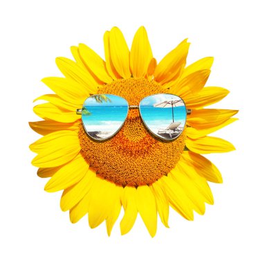 Güneş gözlüklü ve mutlu yüzlü izole bir ayçiçeği.