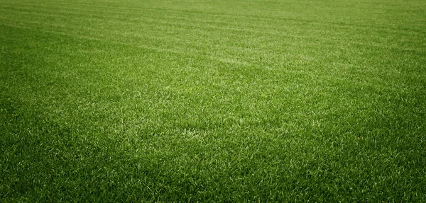 Traditionell Fotbollsmatch Med Läderboll — Stockfoto