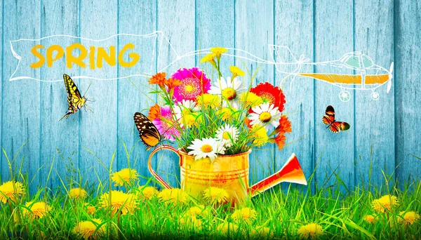 Wiosenne Kwiaty Puszce Narzędzia Urządzenia Ogrodnicze — Zdjęcie stockowe