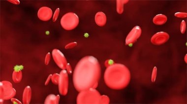 Atardamarlarında virüs olan kırmızı kan hücreleri. 3d video