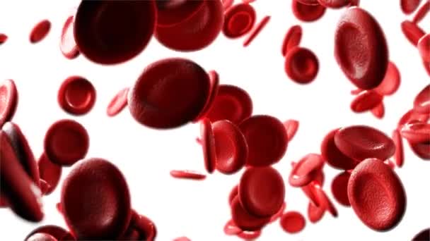 Czerwone Krwinki Płyną Tętnicy Teledysk — Wideo stockowe