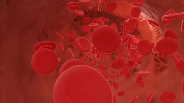 Rote Blutkörperchen Fließen Eine Arterie Video — Stockvideo