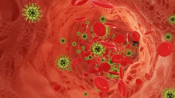 Glóbulos Rojos Que Fluyen Con Virus Una Arteria Video — Vídeo de stock