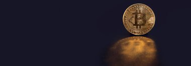 Kripto para birimi konsepti. Bitcoin döviz kurlarındaki eğilimler. Bitcoin 'in yükselişi ve düşüşü.