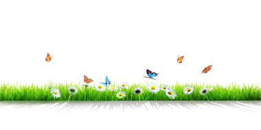 Bahar sabahı uçan kelebek. Panoramik görünüm.