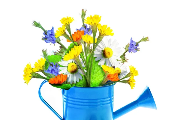 Voorjaarsbloemen Gieter Tuinbenodigdheden Tuingereedschap — Stockfoto