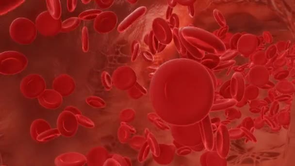 Vörös Vérsejtek Áramlanak Egy Artériában Videó — Stock videók
