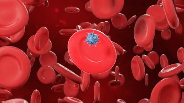 Vírusokkal Teli Vörösvértestek Egy Artériában Videó — Stock videók