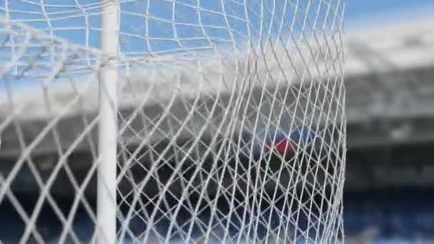 Pallone Calcio Nella Rete Gol Concetto Calcio Animazione — Video Stock