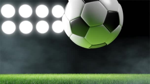 サッカースタジアムのアリーナ サッカーの概念 3Dアニメーション — ストック動画