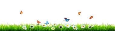 Bahar sabahı uçan kelebek. Panoramik görünüm.