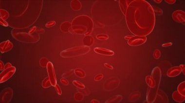 Atardamarda kırmızı kan hücreleri akıyor. 3d video