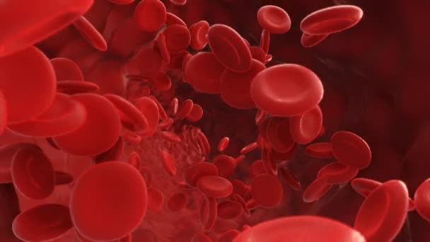 Glóbulos Vermelhos Fluir Numa Artéria Vídeo — Vídeo de Stock