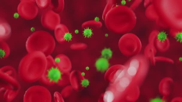 Rote Blutkörperchen Die Mit Viren Einer Arterie Fließen Video — Stockvideo