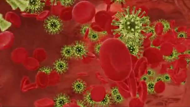 Czerwone Krwinki Płyną Wirusami Tętnicy Teledysk — Wideo stockowe