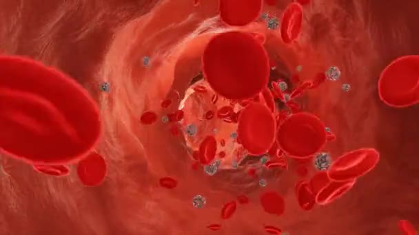 Rode Bloedcellen Die Stromen Van Virussen Een Slagader Video — Stockvideo