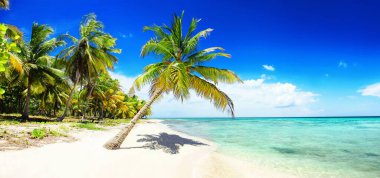 Avuçlar boş tropik kumsalda.