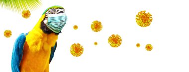 Corona virüsü salgını. Salgın zaman konseptinde seyahat