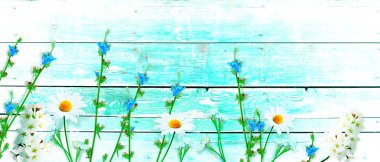 Baharda çiçek tarlası güneş ışığıyla donatılmış.