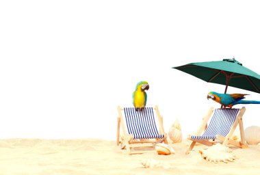 Kumsalda deniz kenarında papağanlı ahşap şezlonglar. Tatil arkaplanı.