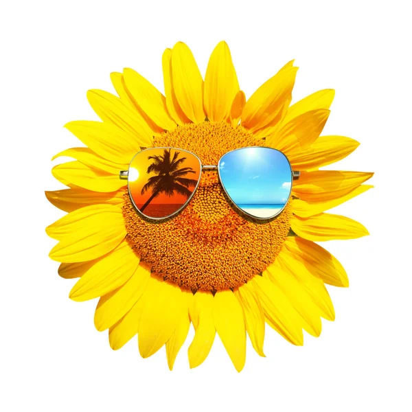 Vereinzelte Sonnenblume Mit Sonnenbrille Und Glücklichem Gesicht — Stockfoto
