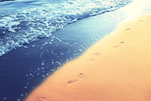 해변의 황금빛 모래에 — 스톡 사진
