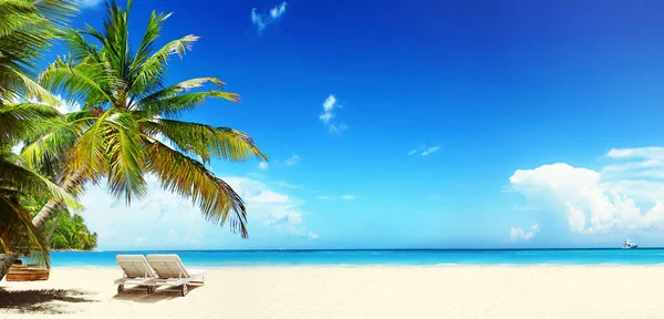 Дерев Яні Стільці Піщаному Пляжі Біля Моря Свято Фону — стокове фото
