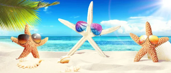 Playa Arena Con Hermosas Estrellas Mar Cerca Del Mar Soleado — Foto de Stock