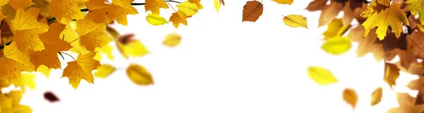 Красивый Осенний Фон Желтыми Красными Листьями — стоковое фото