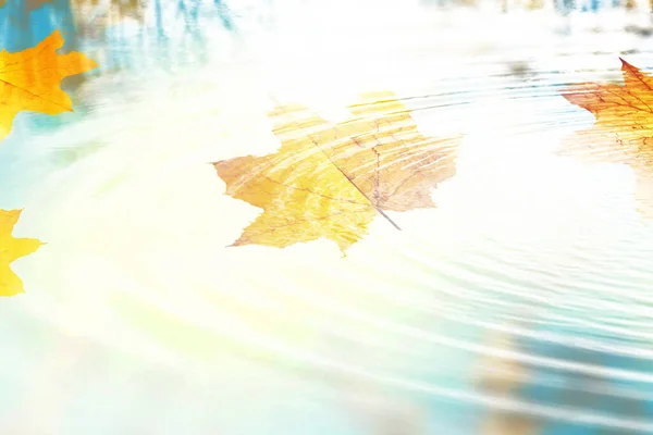 Schöne Herbst Hintergrund Mit Gelben Und Roten Blättern — Stockfoto