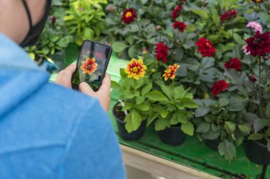 Genç bir çocuğun akıllı telefonuyla güzel renkli çiçeklerin fotoğrafını ya da videosunu çekerken yakın çekim..